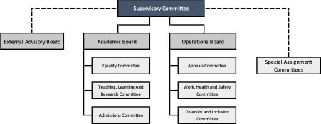 Governance Structure and Reporting Lines