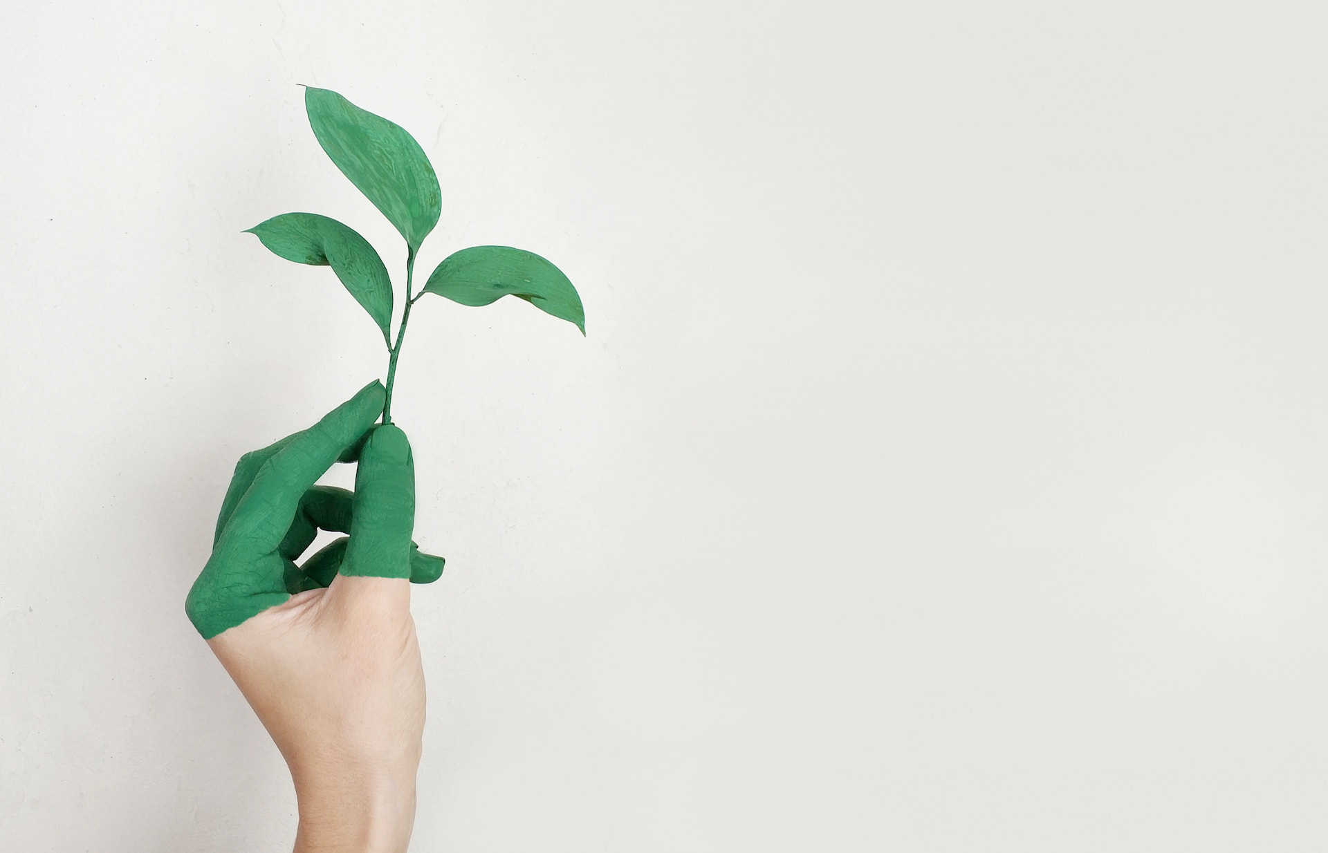 Sustainable future