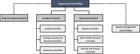 Governance Structure and Reporting Lines